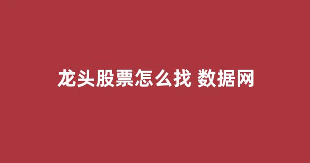 龙头股票怎么找 数据网(龙头股票有哪些)_https://www.dongshengweixin.com_深交所_第1张